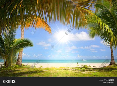 Sun Blue Sky Palm Trees Gateway Image And Photo Bigstock