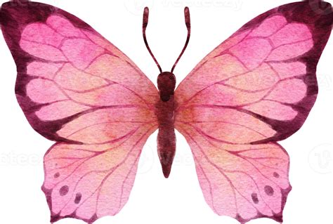 mariposa acuarela ilustración 9369559 PNG