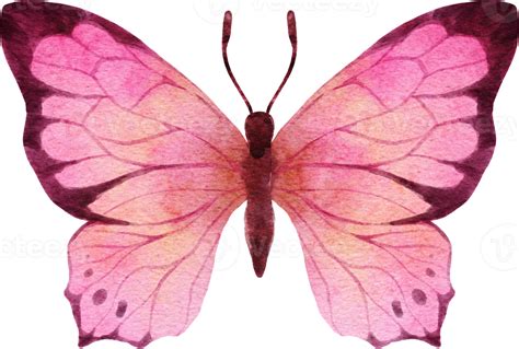 Compartilhar 120 Imagem Borboleta Rosa Aquarela Br Thptnganamst Edu Vn