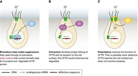 Types Of Cystic Fibrosis