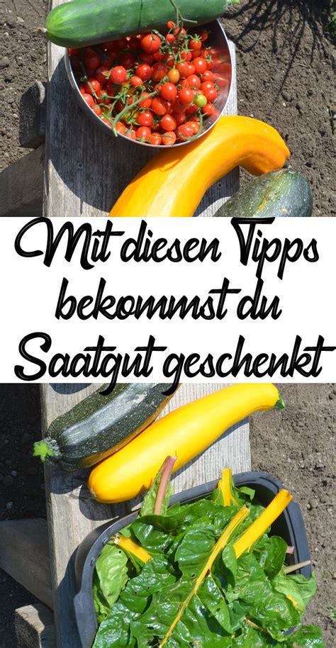Nur wer gutes sät, wird gutes ernten. Kostenloses Saatgut - So bekommst du es geschenkt | Gemüse ...