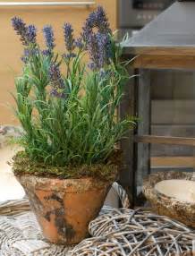 Dec 13, 2019 · kusal, artificial plants and artificial flowers wholesaler, artificial plants, artificial flowers & artificial flowers big wholesaler from chennai Lavender Pot | Artificial flowers, Artificial silk flowers ...