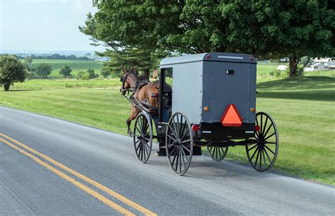5 Reasons To Visit Amish Country Attractions Restaurants Shopping