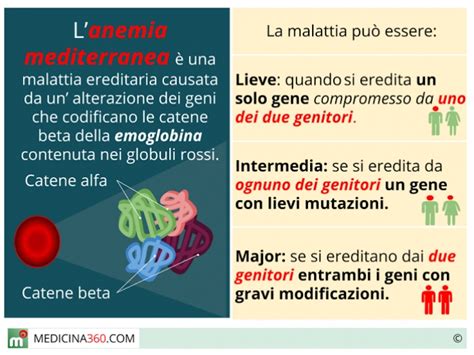 Anemia Mediterranea Sintomi Diagnosi Cura E Conseguenze Della Talassemia