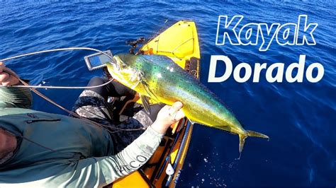 My First Kayak Dorado San Diego Kayak Fishing For Mahi Mahi Off La