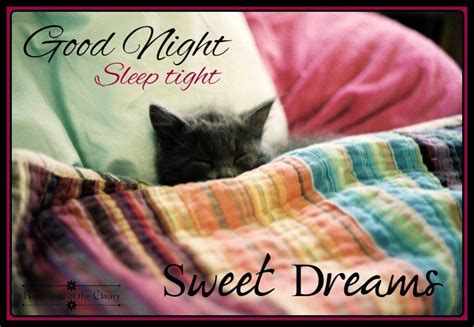 Good Night Sister Sleep Tight Sweet Dreams Sleeping Puppies Sleepy