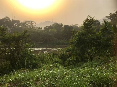 Jungle near Yaoundé Cameroon (x-post by me at r/earthporn) [1080x795 ...