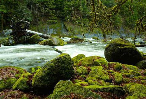 Oregon rivers in their most glorious moments (photos) - oregonlive.com