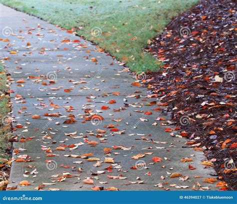 Follow The Leaf Road Stock Image Image Of Season Fall 46394027