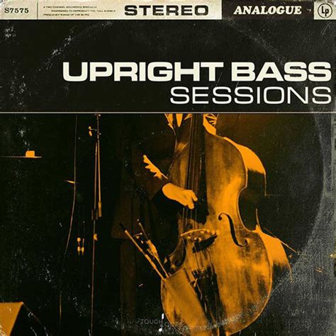 Touch Loops Upright Bass Sessions Sample Upright Bass Sessions