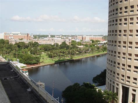 Tampa Bay Insider's Guide