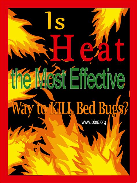 Is Heat The Most Effective Way To Kill Bed Bugs Ibbra