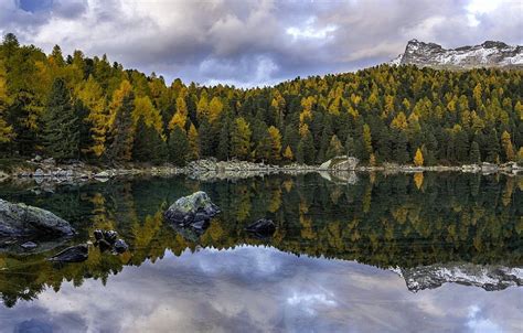 Autumn Forest Trees Mountains Lake Reflection Switzerland