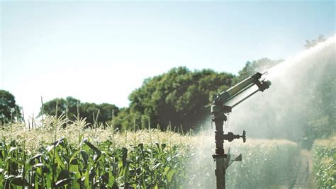 Agricultural Sprinkler Watering Crops Rain Gun Irrigation System Agricultural Sprinkler