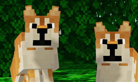 Android용 Mod Shiba Inu For Minecraft Pe Apk 다운로드