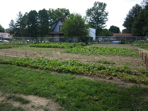 Pennsylvania invests $520,219 in urban ag grants - Farm and Dairy