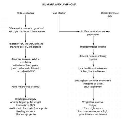 Flow Chart For Leukemia And Lymphoma Care Plan Mussen Healthcare
