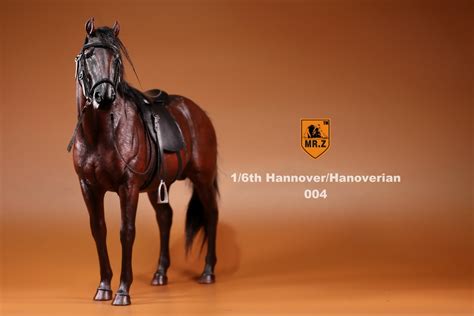 German Hanoverian Warmblood Horse Brown