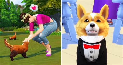 Sims 4 Pets Expansion Pack Free Download Mediafire Taiaagri