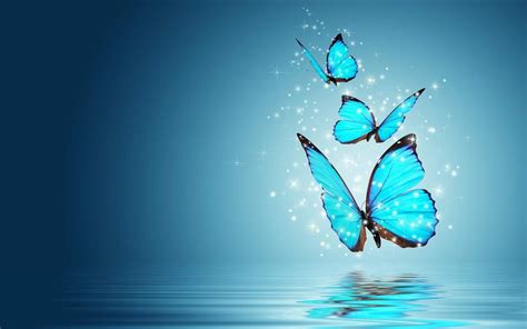 Teal Butterfly Wallpapers Top Free Teal Butterfly Backgrounds