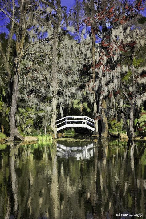 Bridge At Magnolia Plantation Photograph By Fran Gallogly Fine Art
