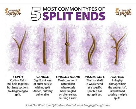 Different Types Of Split Ends And How To Preven