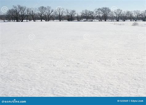 Snow Field Stock Image Image Of Cold Trees Winter Snowy 523569