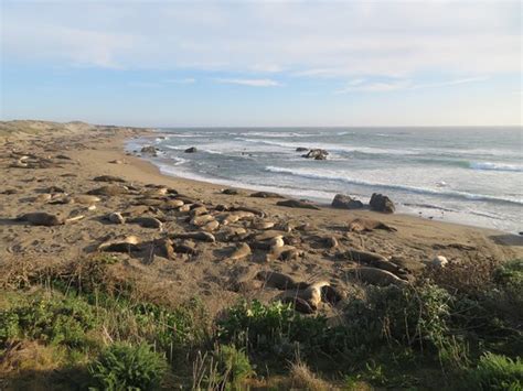 San Simeon State Park 2020 All You Need To Know Before You Go With