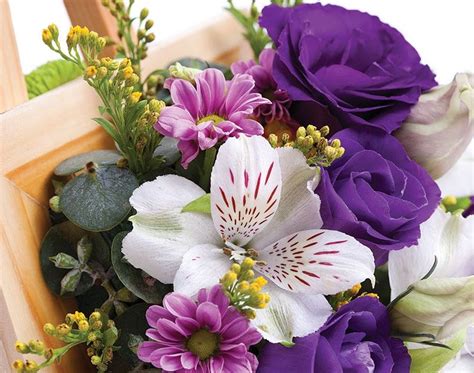 Poze Blog: Imagini Cu Flori Pentru Felicitari