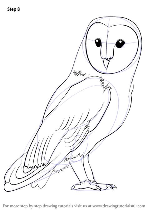 Step By Step How To Draw A Barn Owl DrawingTutorials Com Owls Drawing Owl Drawing Simple