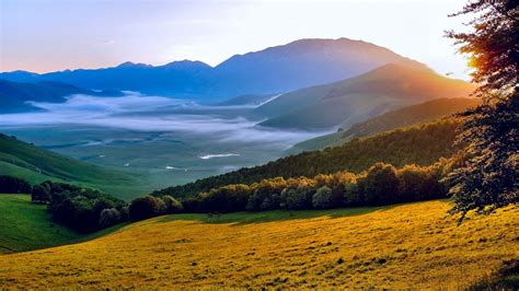 Green Grass Slope Plants Bushes Trees Forest Landscape View Of