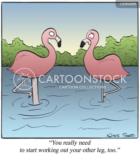 Flamingo Cartoons And Comics Funny Pictures From