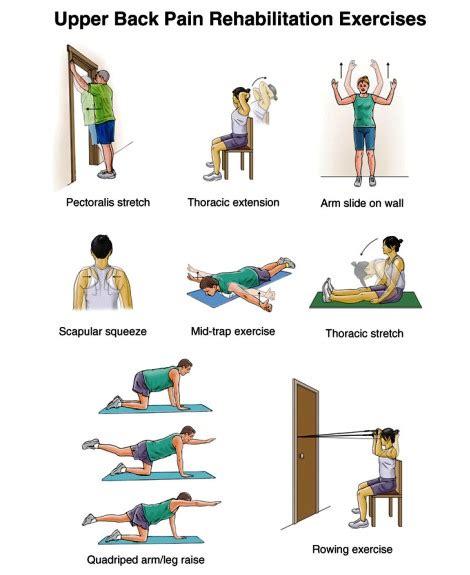 EXCLUSIVE PHYSIOTHERAPY GUIDE FOR PHYSIOTHERAPISTS EXERCISE FOR UPPER BACK PAIN