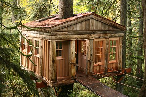 The 18 Greatest Tree Houses For Adults Global Entrepreneur Network