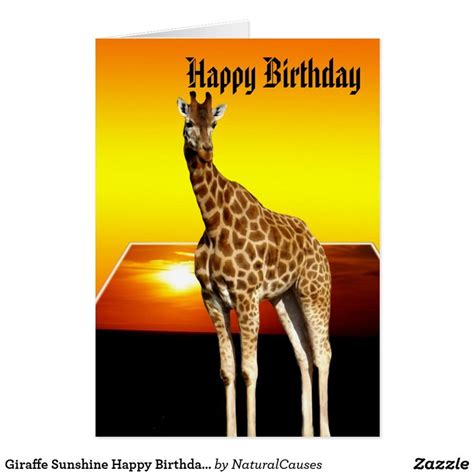 Giraffe Sunshine Happy Birthday Greeting Card Au Happy