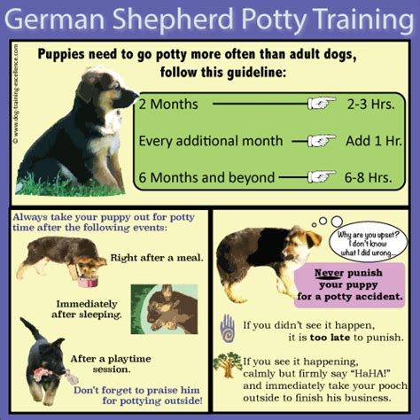 10 Best German Shepherd Puppy Training Tips Technopet