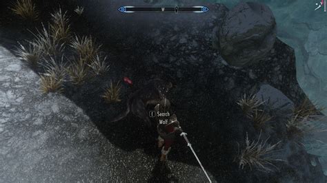 Stretchy Animal Penises And Missing Textures Help Skyrim Technical