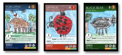 Teachers Phylo The Trading Card Game