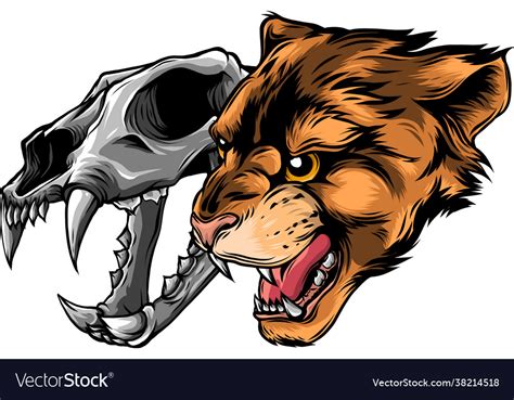 Cougar Panther Head With Skull Royalty Free Vector Image