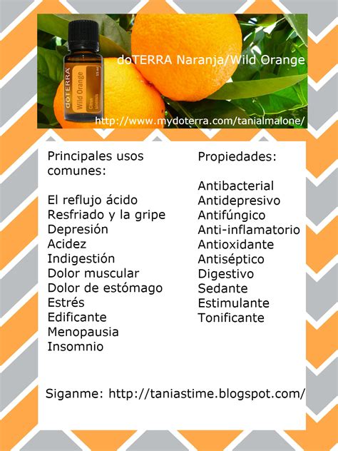 Principales Usos Del Aceite Esencial De Naranja Aceites Esenciales