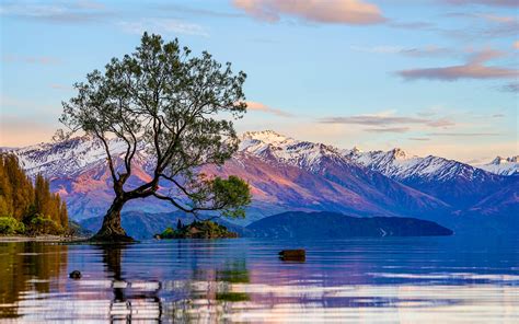 How You Can Help Protect New Zealands Instagram Famous Lake Wanaka