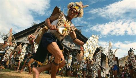 Sebenarnya rumah ini asalnya adalah rumah identitas milik suku dayak kesenian yang ada di kalimantan timur ini antara lain meliputi tarian adat, alat musik tradisional, senjata adat dan masih banyak lagi, berikut penjelasannya. GUNUNG TOBA di SUNDALAND: Asal Mula Suku Dayak Kalimantan