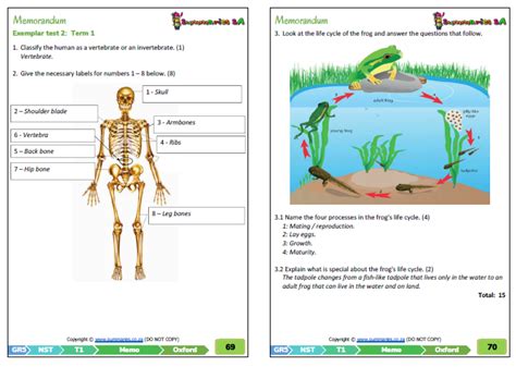 Grade 5 Natural Science & Technology (NST) Term 1 (Oxford Textbook