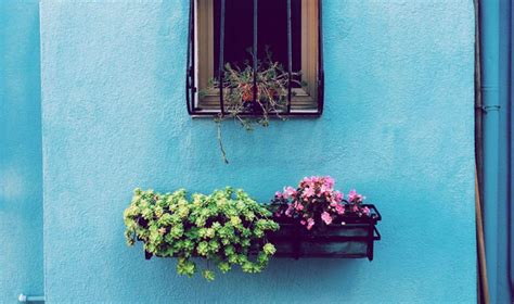 In alternativa si possono accostare più fioriere più piccole, lunghe 25 cm, contenenti ognuna un paio di. Realizziamo un giardino in vaso sul balcone, sul terrazzo ...