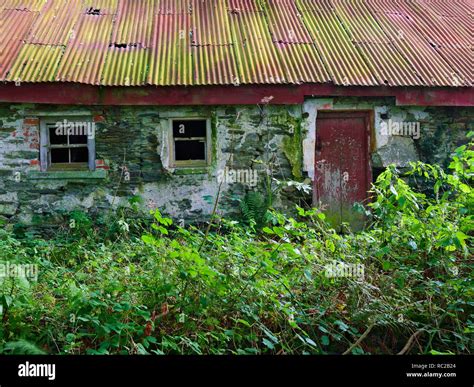 Tin Roof House Hi Res Stock Photography And Images Alamy