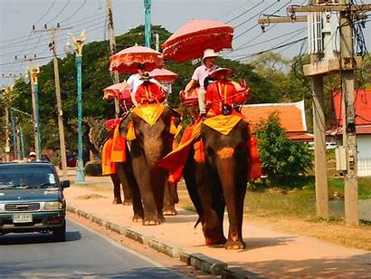Ayutthaya Thai Thailand Bangkok Minutes Gifs Elephant