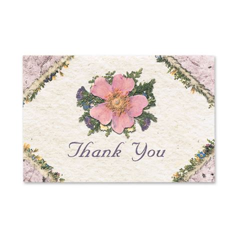 Wild Rose Thank You Cards Creative Graphics Floral Ts