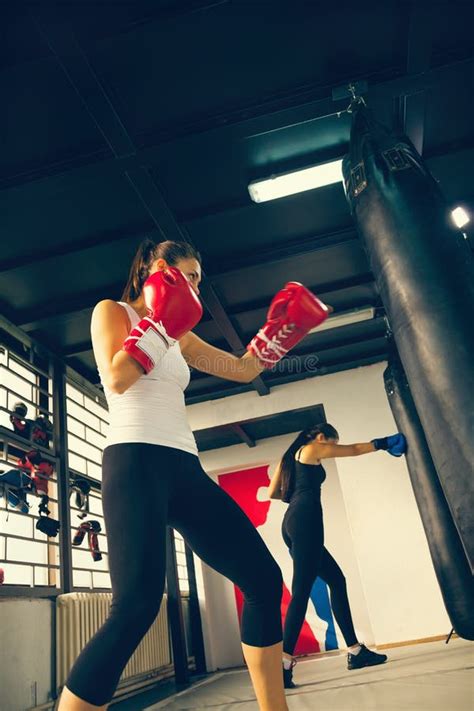 Two Female Boxers At Training Stock Image Image Of Activity