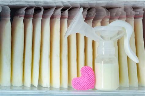 If you're looking to make a milk bath for baby, human breast milk is the best choice. How Long Does Breast Milk Last in the Fridge - Northern Nester