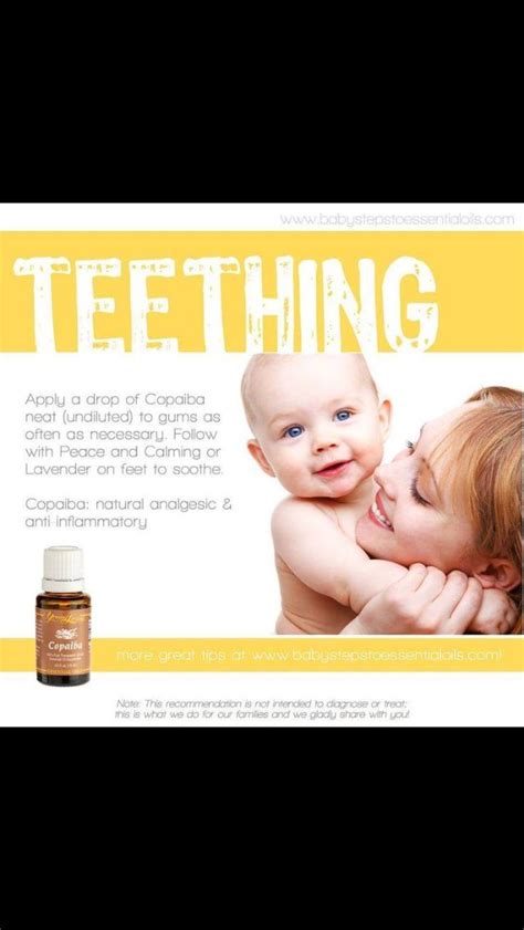 Essential Oils For Teething Babies Young Living Teeth Poster